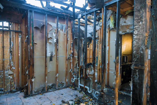 Professional Fire Damage Removal technician working in Queen Anne, MD